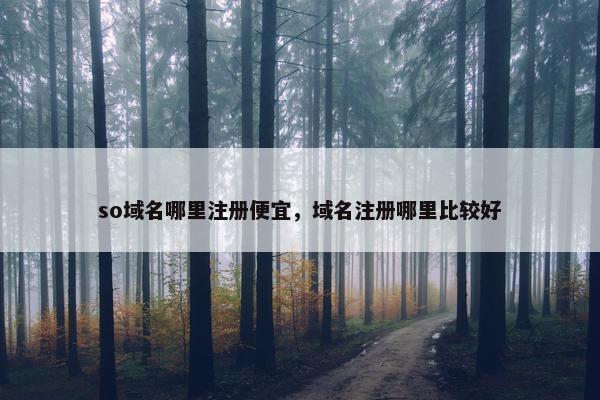 so域名哪里注册便宜，域名注册哪里比较好