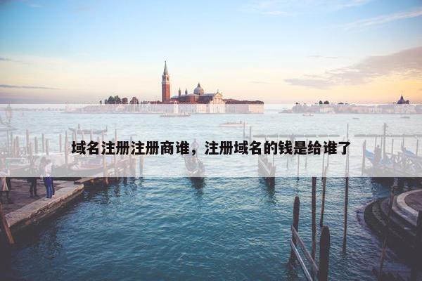 域名注册注册商谁，注册域名的钱是给谁了