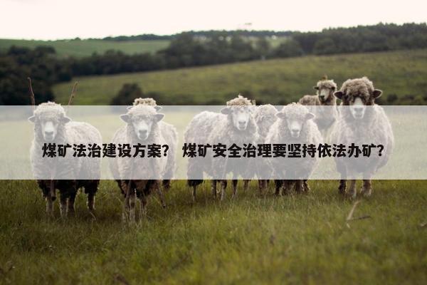 煤矿法治建设方案？ 煤矿安全治理要坚持依法办矿？