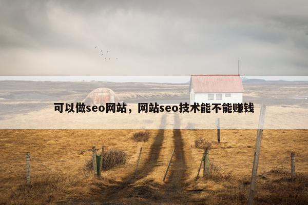 可以做seo网站，网站seo技术能不能赚钱