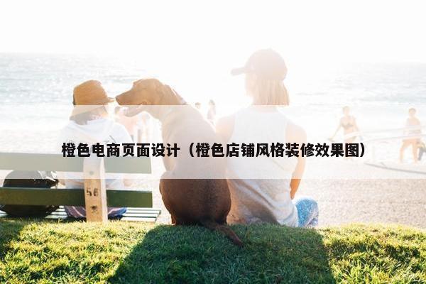 橙色电商页面设计（橙色店铺风格装修效果图）