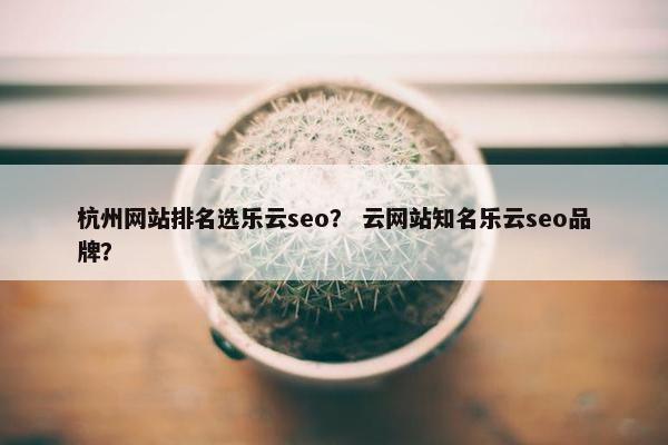 杭州网站排名选乐云seo？ 云网站知名乐云seo品牌？