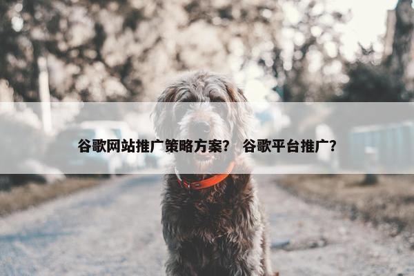 谷歌网站推广策略方案？ 谷歌平台推广？