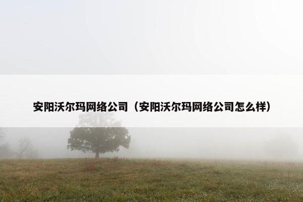 安阳沃尔玛网络公司（安阳沃尔玛网络公司怎么样）