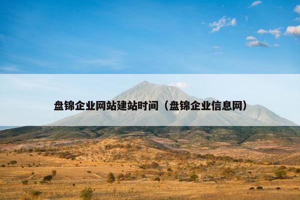 盘锦企业网站建站时间（盘锦企业信息网）