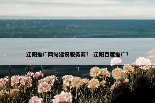 辽阳推广网站建设服务商？ 辽阳百度推广？