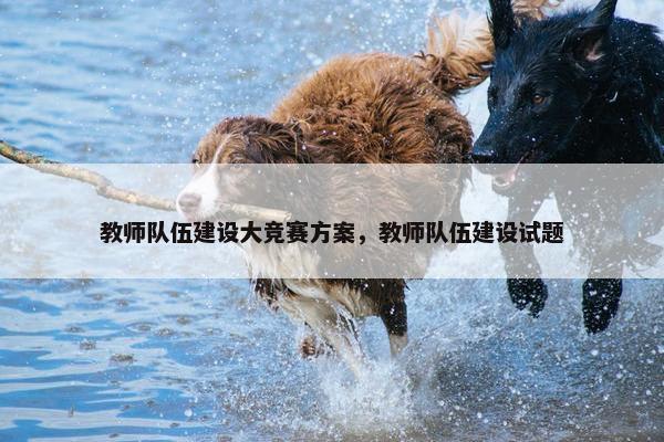 教师队伍建设大竞赛方案，教师队伍建设试题