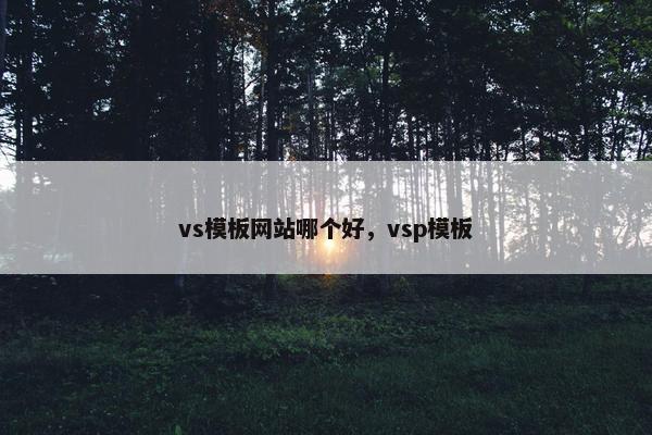 vs模板网站哪个好，vsp模板