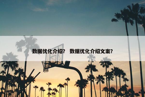 数据优化介绍？ 数据优化介绍文案？
