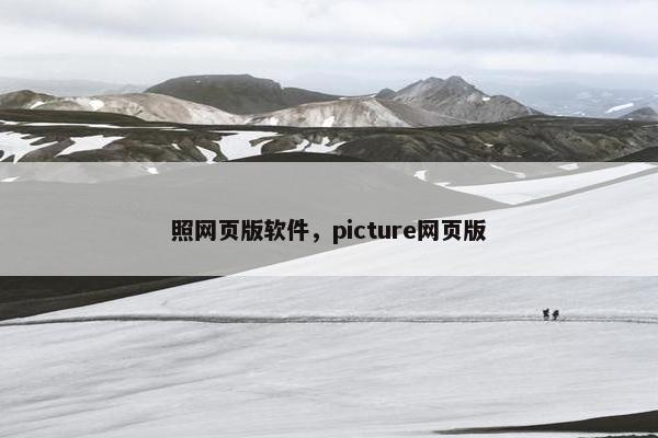照网页版软件，picture网页版