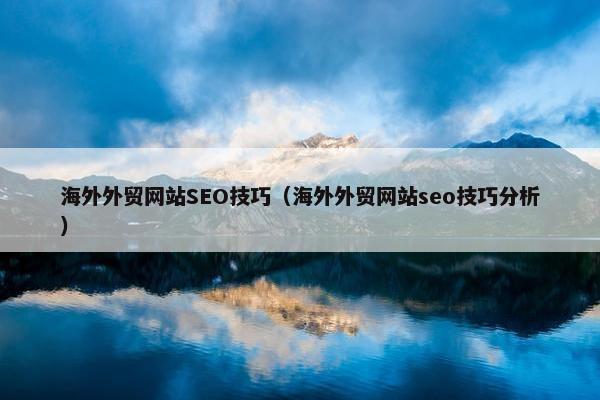 海外外贸网站SEO技巧（海外外贸网站seo技巧分析）