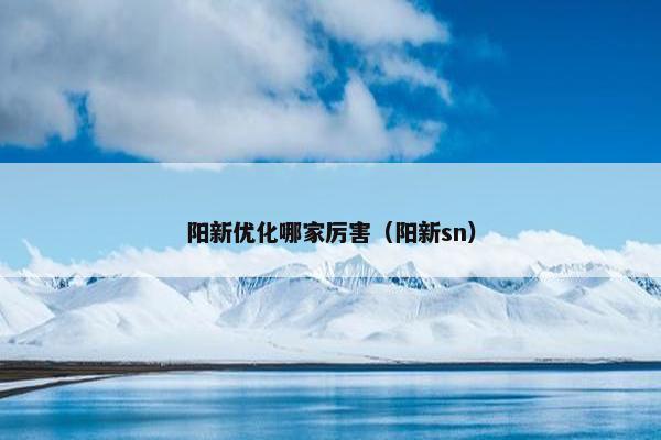 阳新优化哪家厉害（阳新sn）