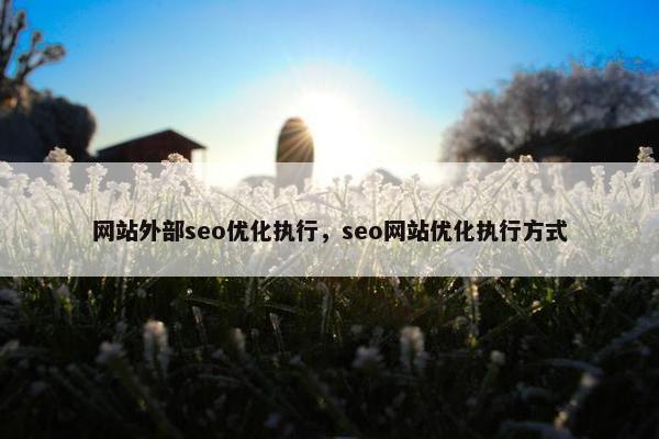 网站外部seo优化执行，seo网站优化执行方式