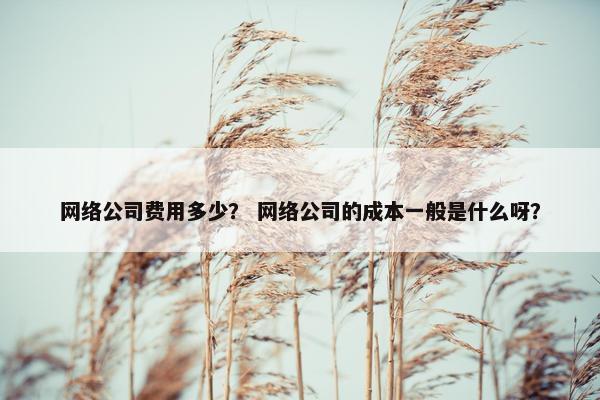 网络公司费用多少？ 网络公司的成本一般是什么呀？