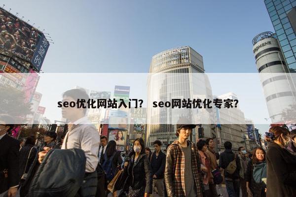 seo优化网站入门？ seo网站优化专家？