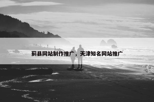 蓟县网站制作推广，天津知名网站推广