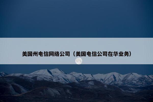 美国州电信网络公司（美国电信公司在华业务）
