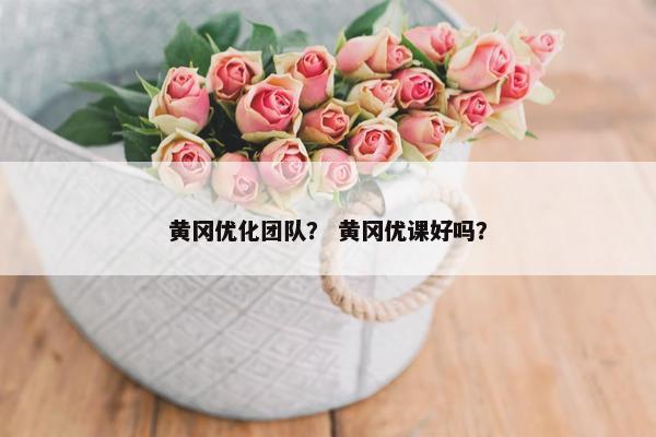黄冈优化团队？ 黄冈优课好吗？