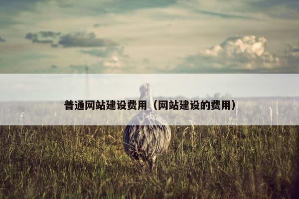 普通网站建设费用（网站建设的费用）