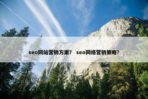 seo网站营销方案？ seo网络营销策略？