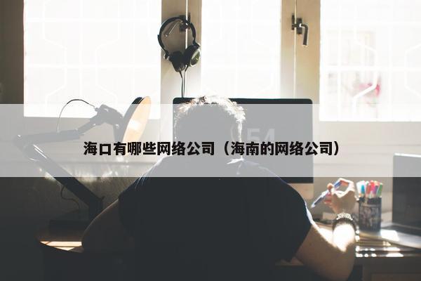海口有哪些网络公司（海南的网络公司）