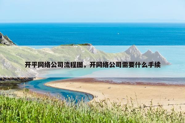 开平网络公司流程图，开网络公司需要什么手续