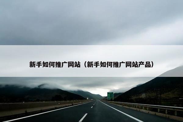 新手如何推广网站（新手如何推广网站产品）
