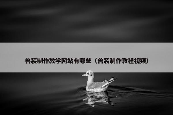 兽装制作教学网站有哪些（兽装制作教程视频）