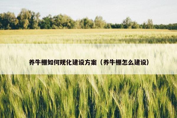 养牛棚如何规化建设方案（养牛棚怎么建设）