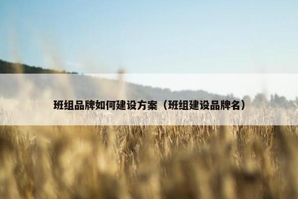 班组品牌如何建设方案（班组建设品牌名）