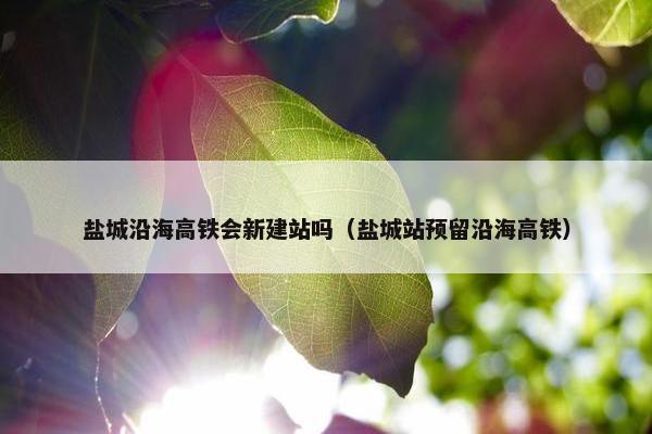 盐城沿海高铁会新建站吗（盐城站预留沿海高铁）