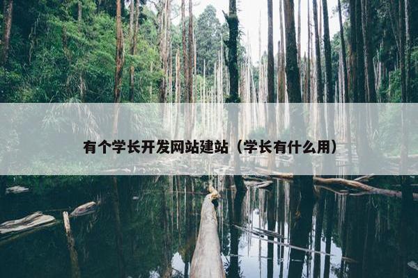 有个学长开发网站建站（学长有什么用）