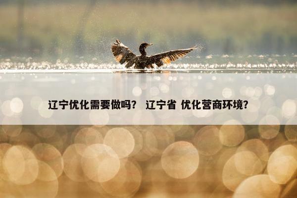 辽宁优化需要做吗？ 辽宁省 优化营商环境？
