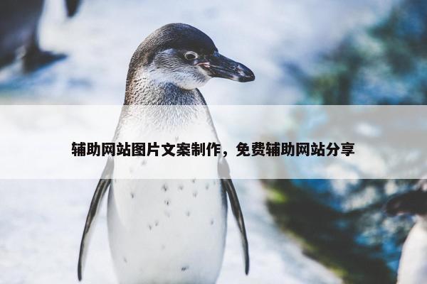 辅助网站图片文案制作，免费辅助网站分享