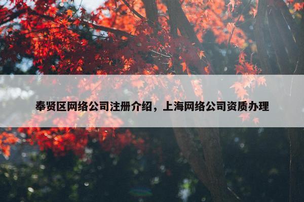 奉贤区网络公司注册介绍，上海网络公司资质办理