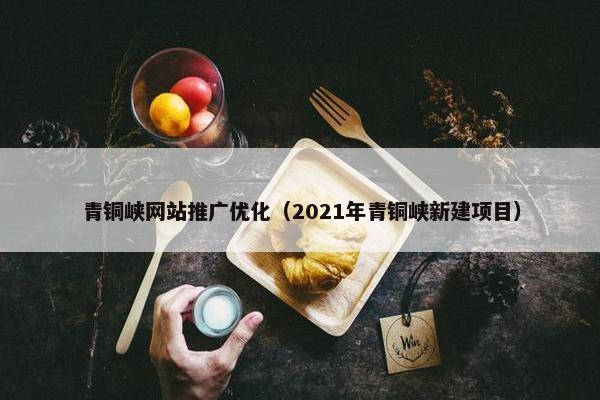 青铜峡网站推广优化（2021年青铜峡新建项目）