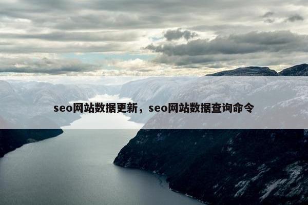 seo网站数据更新，seo网站数据查询命令