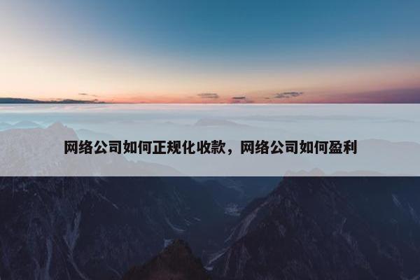 网络公司如何正规化收款，网络公司如何盈利