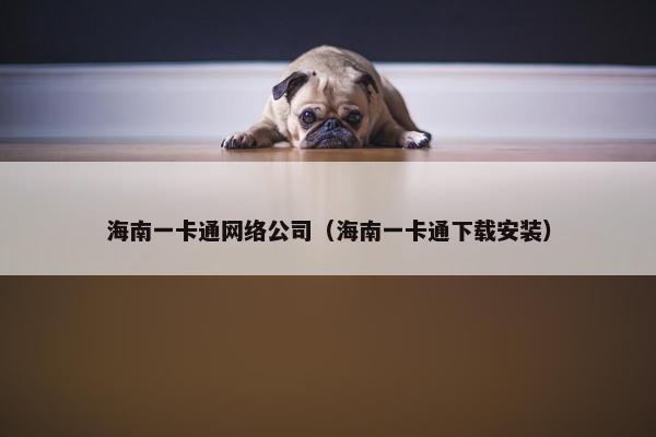 海南一卡通网络公司（海南一卡通下载安装）