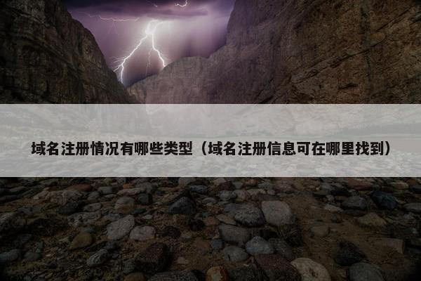 域名注册情况有哪些类型（域名注册信息可在哪里找到）