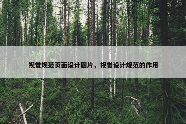 视觉规范页面设计图片，视觉设计规范的作用