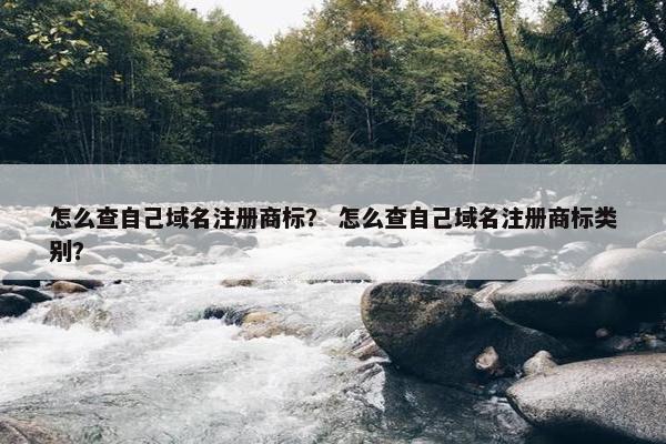 怎么查自己域名注册商标？ 怎么查自己域名注册商标类别？