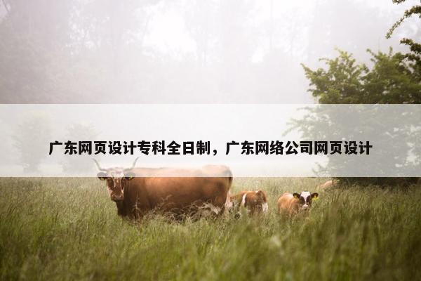 广东网页设计专科全日制，广东网络公司网页设计
