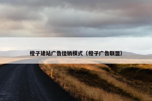 橙子建站广告佳销模式（橙子广告联盟）