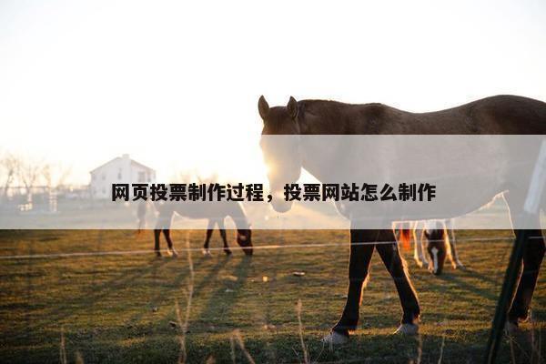 网页投票制作过程，投票网站怎么制作