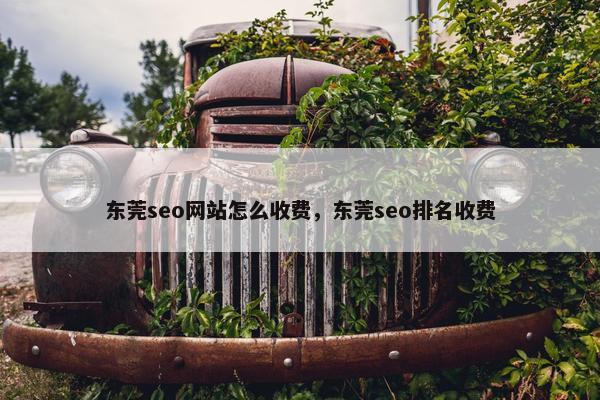 东莞seo网站怎么收费，东莞seo排名收费