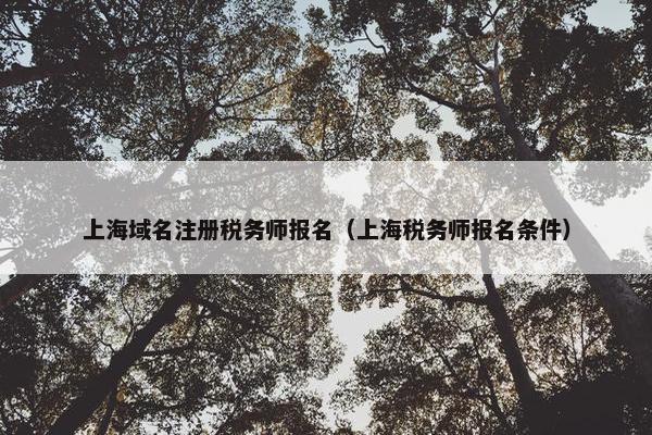 上海域名注册税务师报名（上海税务师报名条件）