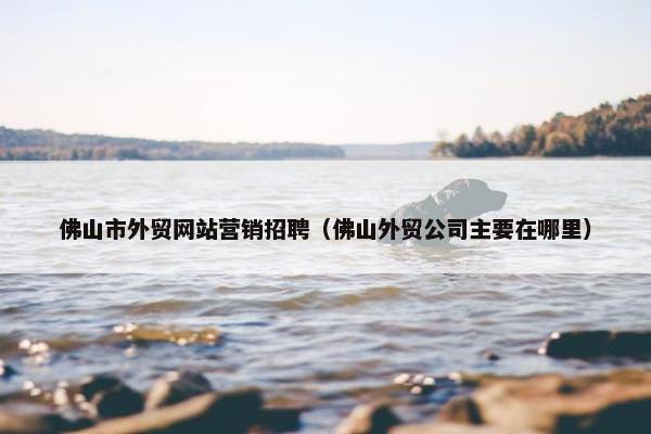 佛山市外贸网站营销招聘（佛山外贸公司主要在哪里）