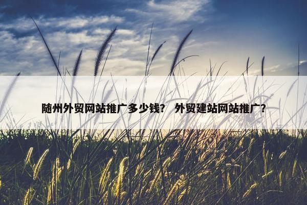 随州外贸网站推广多少钱？ 外贸建站网站推广？