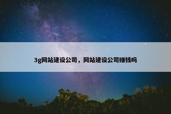 3g网站建设公司，网站建设公司赚钱吗